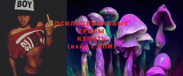 mdpv Арсеньев