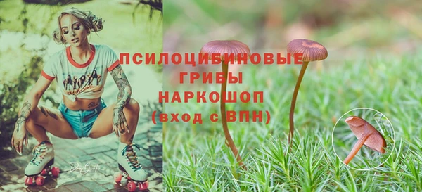 таблы Армянск
