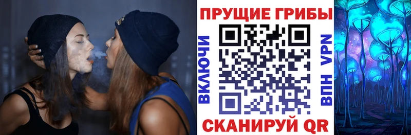 KRAKEN зеркало  где можно купить наркотик  Уссурийск  Галлюциногенные грибы GOLDEN TEACHER 