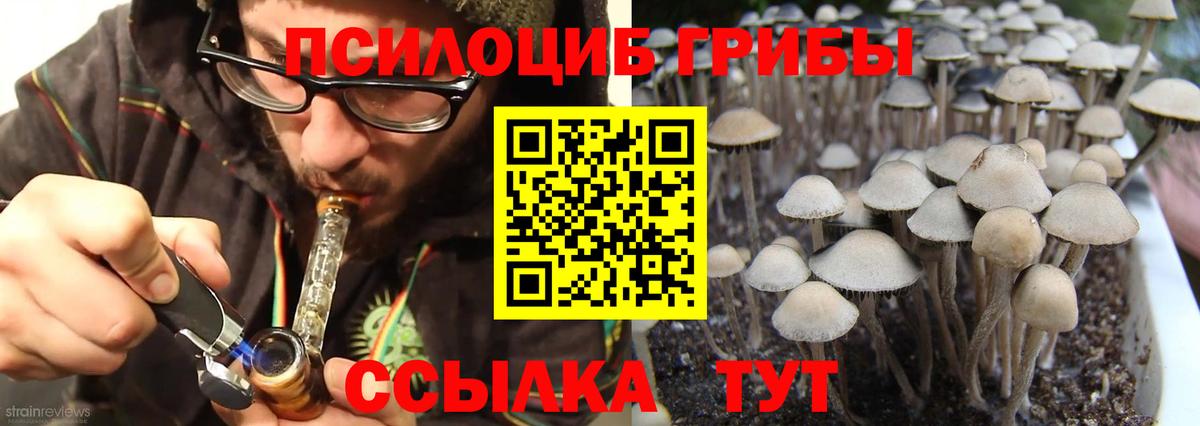 Псилоцибиновые грибы ЛСД Уссурийск