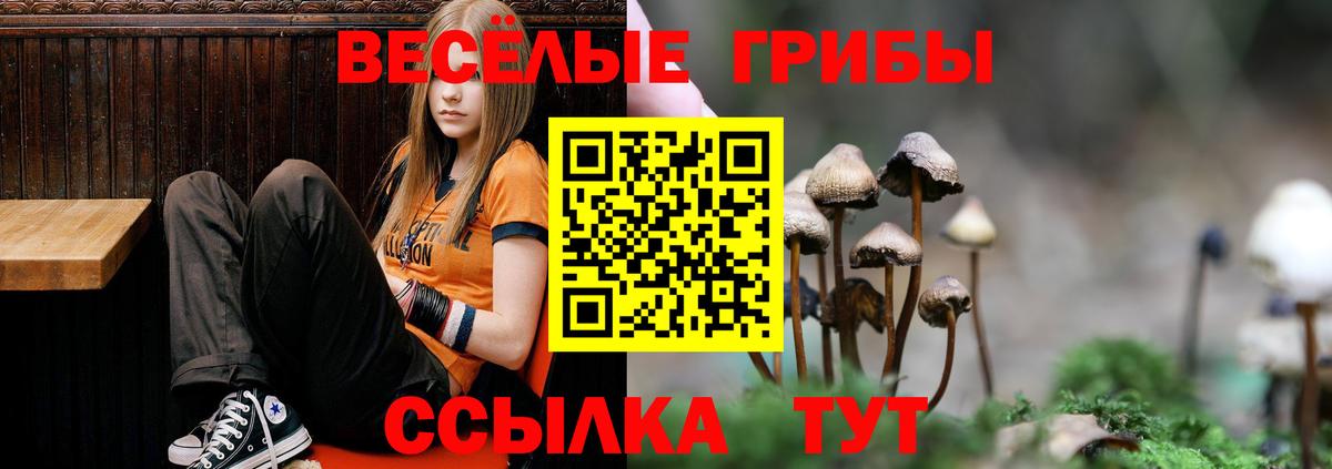 Псилоцибиновые грибы Psilocybine cubensis  Псилоцибиновые грибы Cubensis  Вход с VPN  цены наркотик  Уссурийск 
